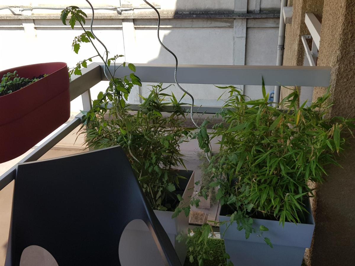 Apartamento Compostela Le Puy-en-Velay Exterior foto